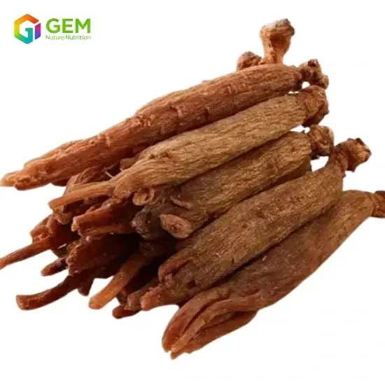 Red Ginseng Extract