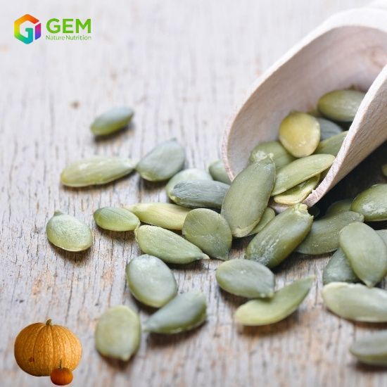 Watermelon seed protein